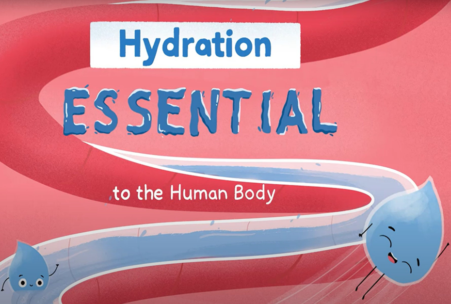 Hydration: Essential to the Human Body