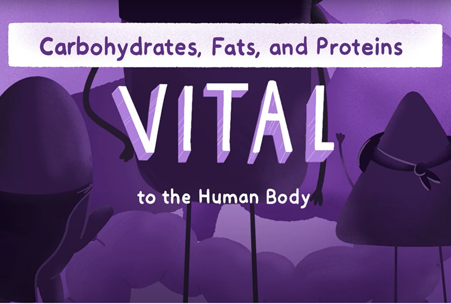 Nutrients: Vital to the Human Body